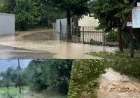 Podtopienia budynków, powalone drzewa - liczne interwencje straży po gwałtownych burzach - zdjęcie główne