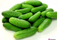 Milionowe straty małopolskich rolników (TVP 3) - zdjęcie główne