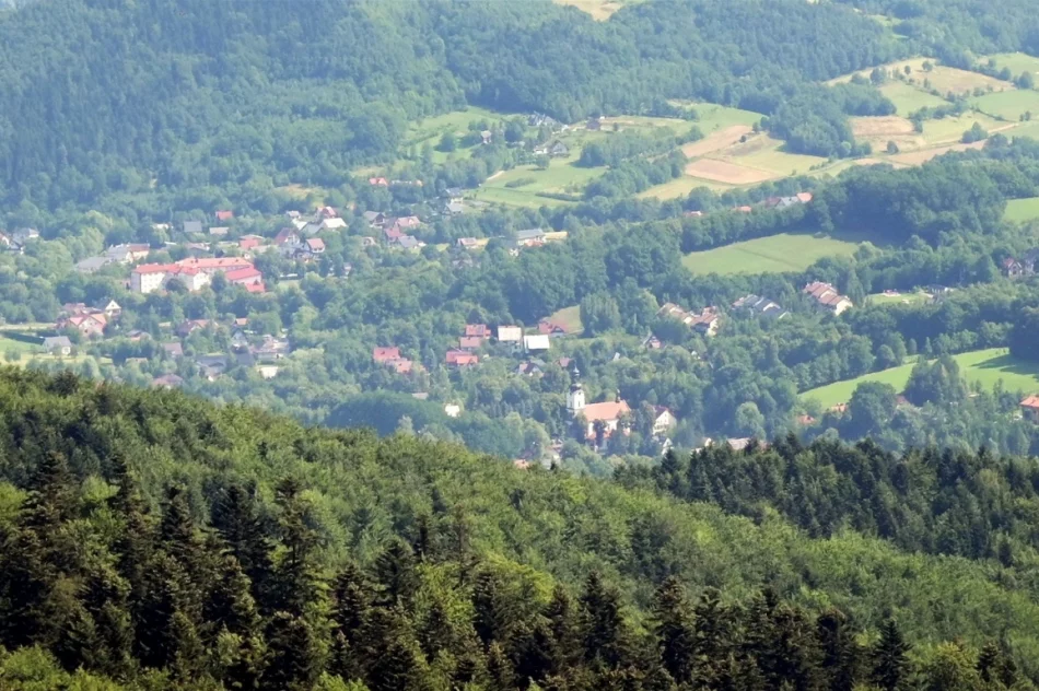 Wędrówka w upalny poranek i liczne spotkanie na szczycie (ZDJĘCIA) - zdjęcie 16
