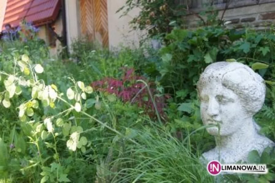 Zioła na 4 pory roku - zdjęcie 2