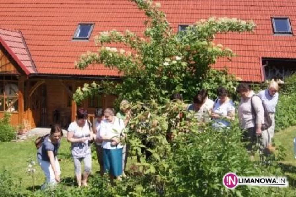 Zioła na 4 pory roku - zdjęcie 3