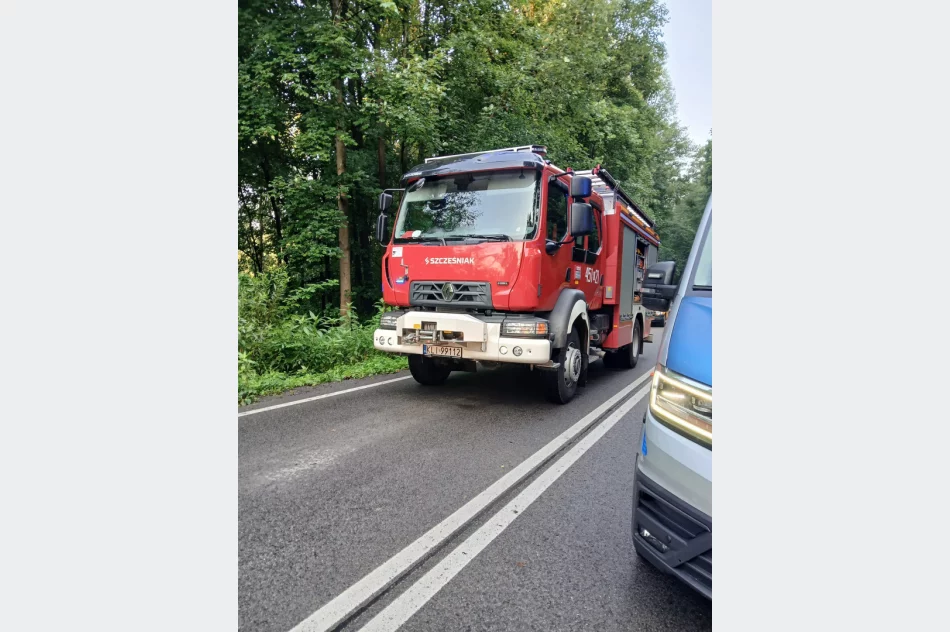 Dachowanie samochodu: w szpitalu 4 osoby, w tym 3 dzieci - zdjęcie 4