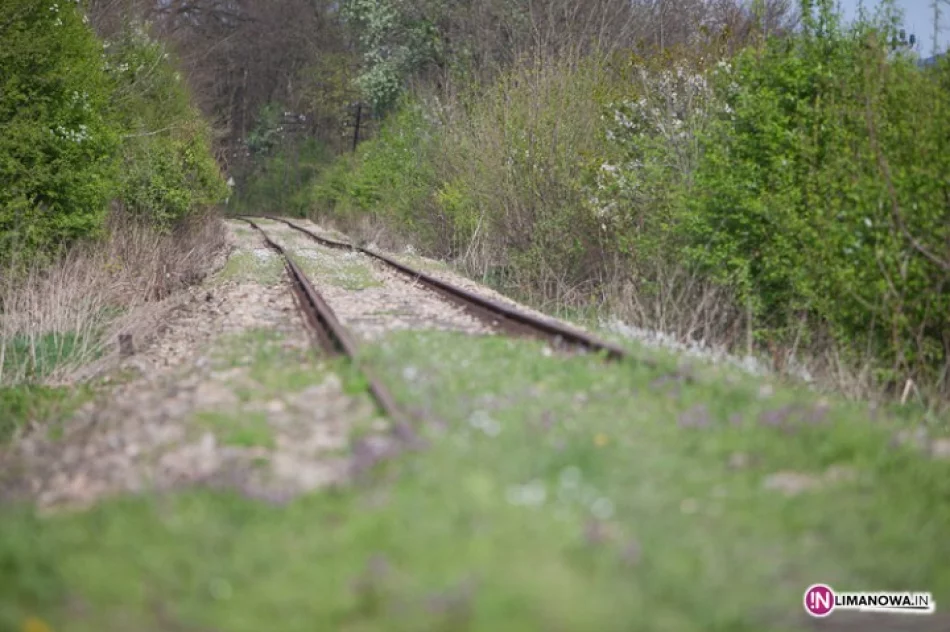 Pociągi znów przejeżdżają przez Limanowszczyznę - zdjęcie 2
