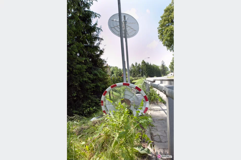 Kijem baseballowym w głowę - zdjęcie 2