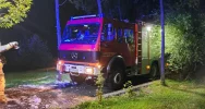 Samochód doszczętnie spłonął - zdjęcie 2