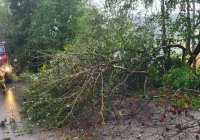 Ostrzeżenie meteo dla powiatu limanowskiego: burze - zdjęcie główne