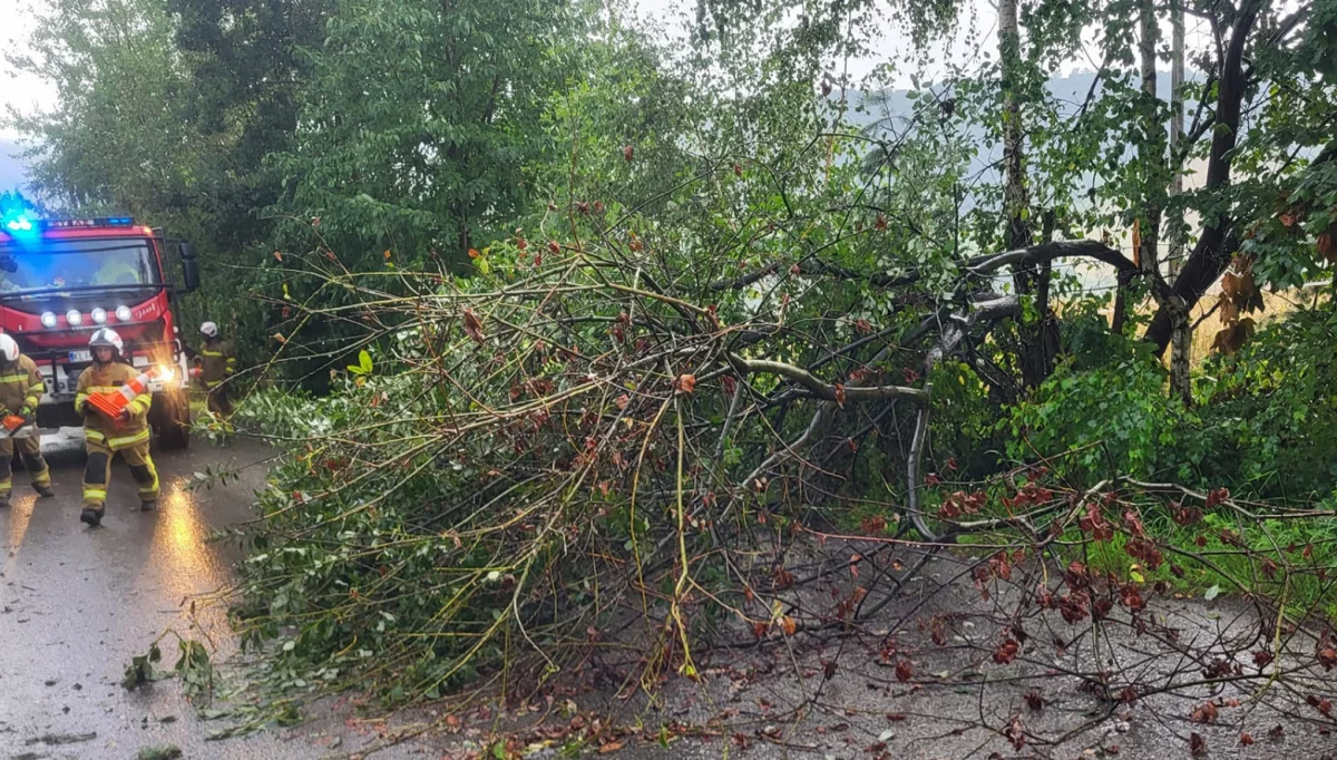 Ostrzeżenie meteo dla powiatu limanowskiego: burze