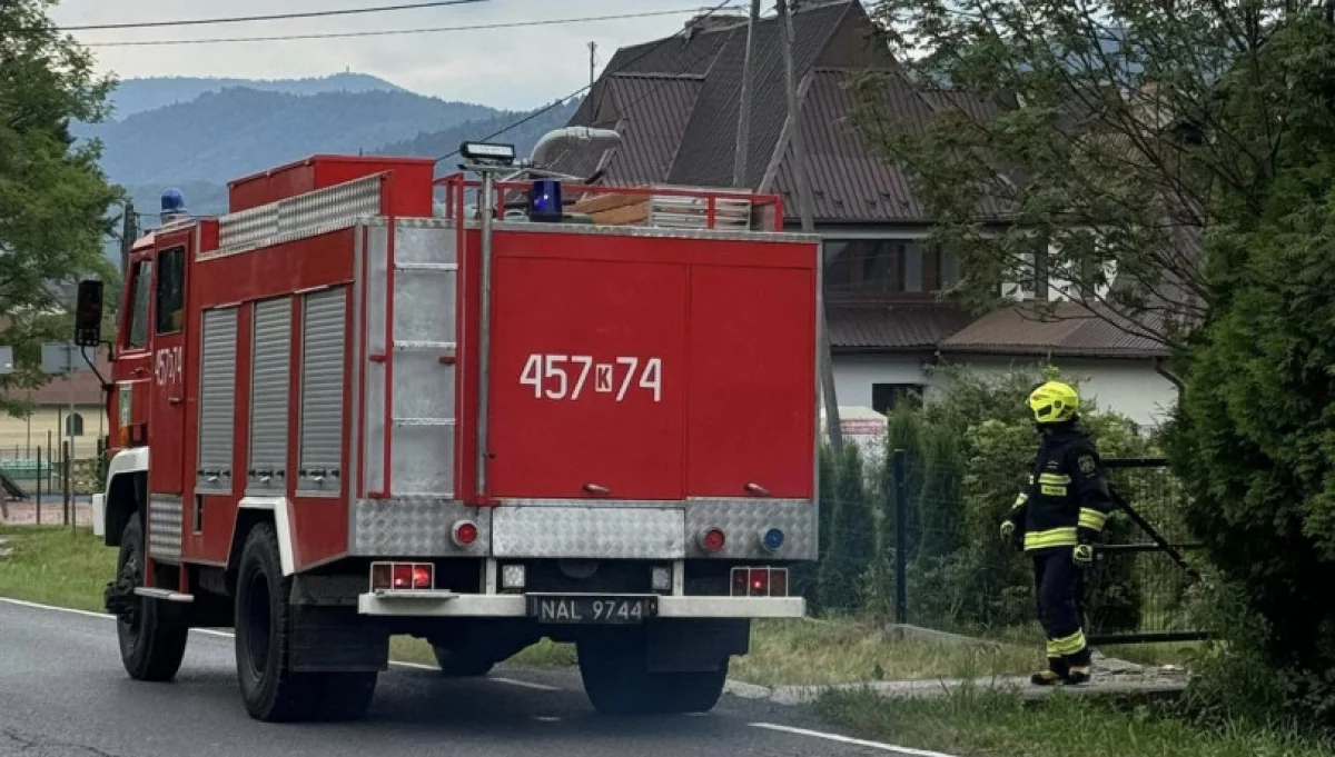 Żmija weszła do budynku/fot.: OSP Zbludza