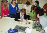 Nauka o ogrodach - zdjęcie główne