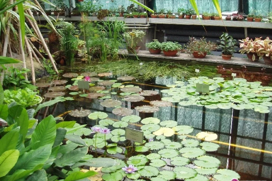 Nauka o ogrodach - zdjęcie 4