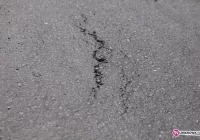 Nowy asfalt... do wymiany - zdjęcie główne