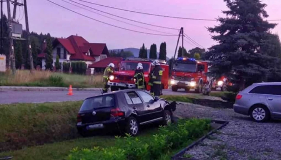 Wjechała do rowu mając 1,9 promila. 32-latka w areszcie - zdjęcie 1