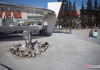 Z Rynku znikną świerki - zdjęcie główne