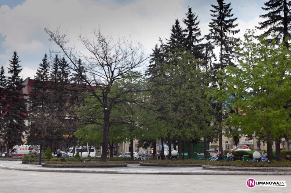 Z Rynku znikną świerki - zdjęcie 2