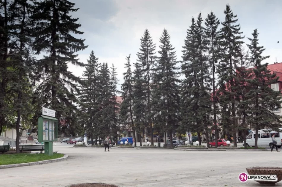 Z Rynku znikną świerki - zdjęcie 3