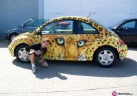 New Beetle zjadą do Limanowej - zdjęcie główne