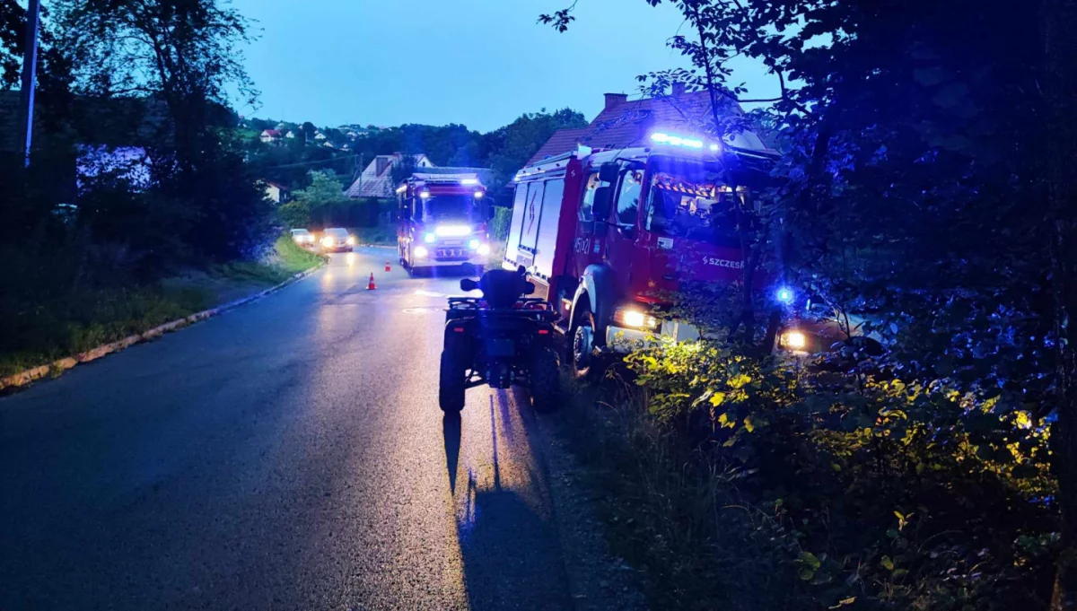 Służby badają możliwe skażenie potoku – śnięte ryby w wodzie