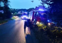 Służby badają możliwe skażenie potoku – śnięte ryby w wodzie - zdjęcie główne