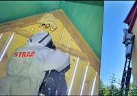 Coraz więcej interwencji. W tym miesiącu szerszenie to wręcz plaga - zdjęcie główne