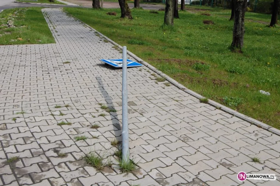 „Nowoczesny folklor” - zdjęcie 4