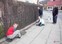 Młodzi też chcą pomagać - zdjęcie główne