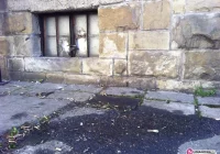 Ślady są, sprawców nie ma - zdjęcie główne