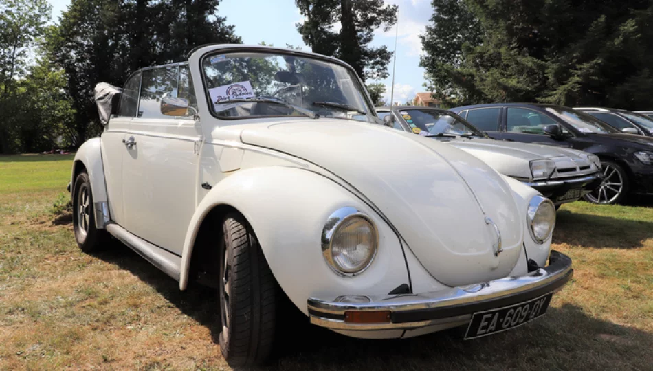 Ile kosztuje stary Volkswagen Garbus cabrio? - zdjęcie 1