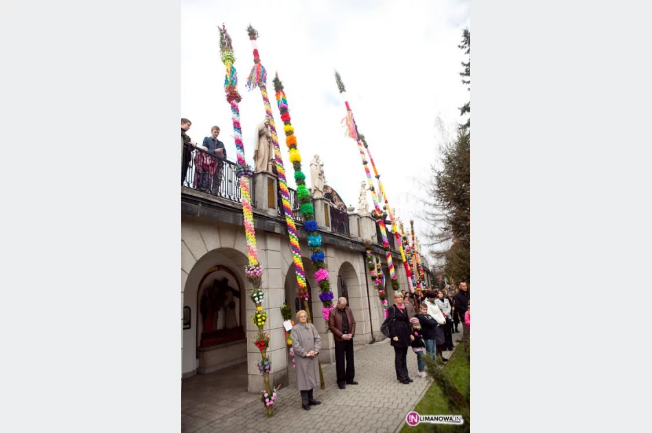 Kilkadziesiąt palm i tysiące kwiatów - zdjęcie 2