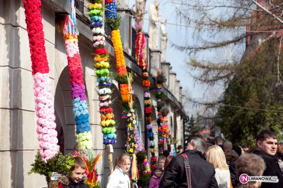 Kilkadziesiąt palm i tysiące kwiatów - zdjęcie 3
