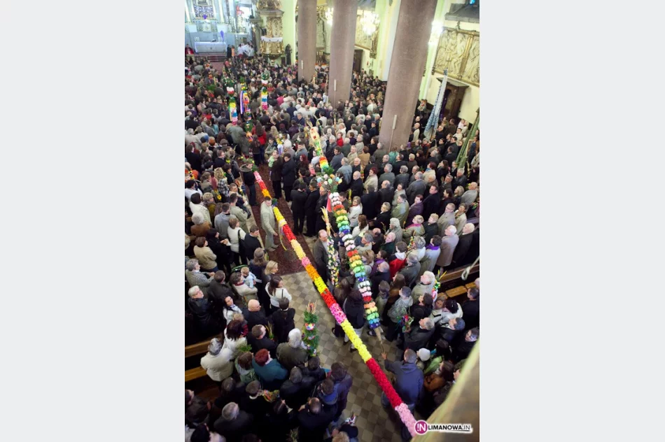 Kilkadziesiąt palm i tysiące kwiatów - zdjęcie 4