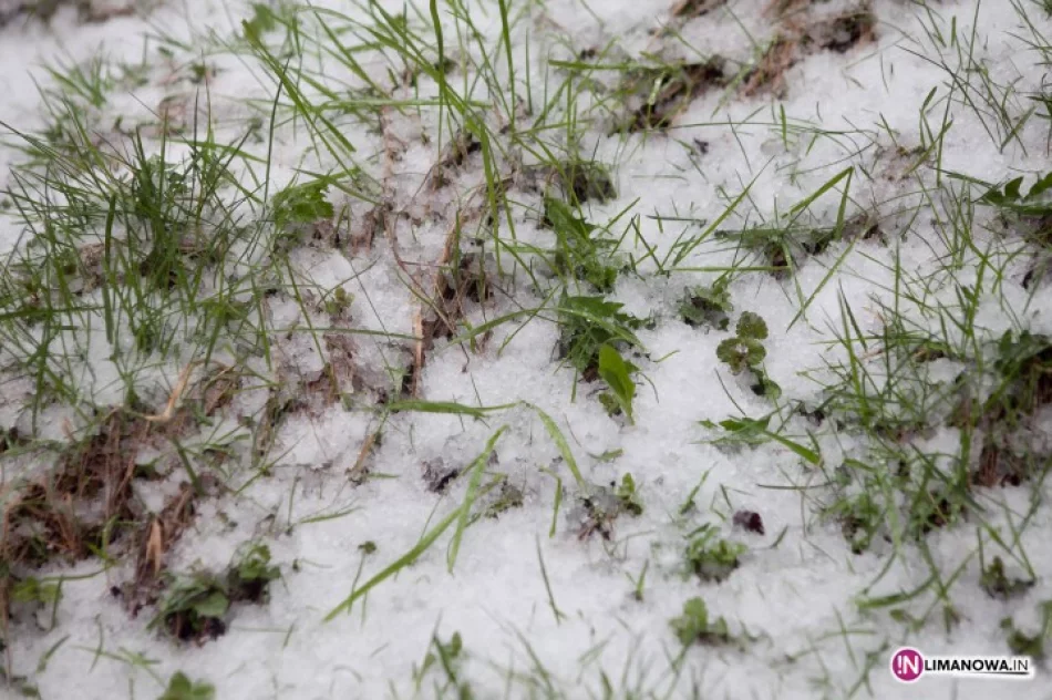 Trudne warunki na drogach - do jutra może padać śnieg - zdjęcie 3