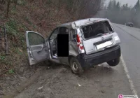 Dachowanie pandy - zdjęcie główne