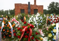 Obchody 80. rocznicy zagłady Romów w b. KL Auschwitz - zdjęcie główne