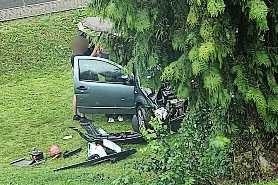 Samochód wypadł z drogi - zdjęcie 2