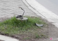 Wandali nikt nie szuka - zdjęcie główne