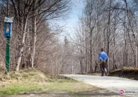 Sami zbudowali 1,5 km drogi - zdjęcie główne