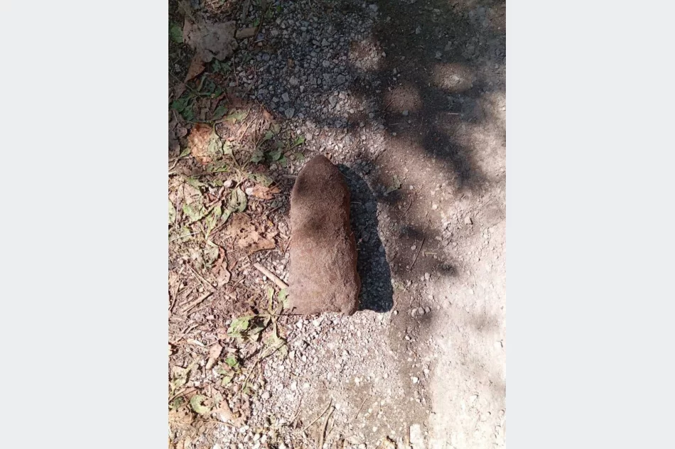 Niewybuch eksplodował pod traktorem - zdjęcie 3