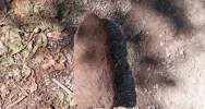 Niewybuch eksplodował pod traktorem - zdjęcie 3