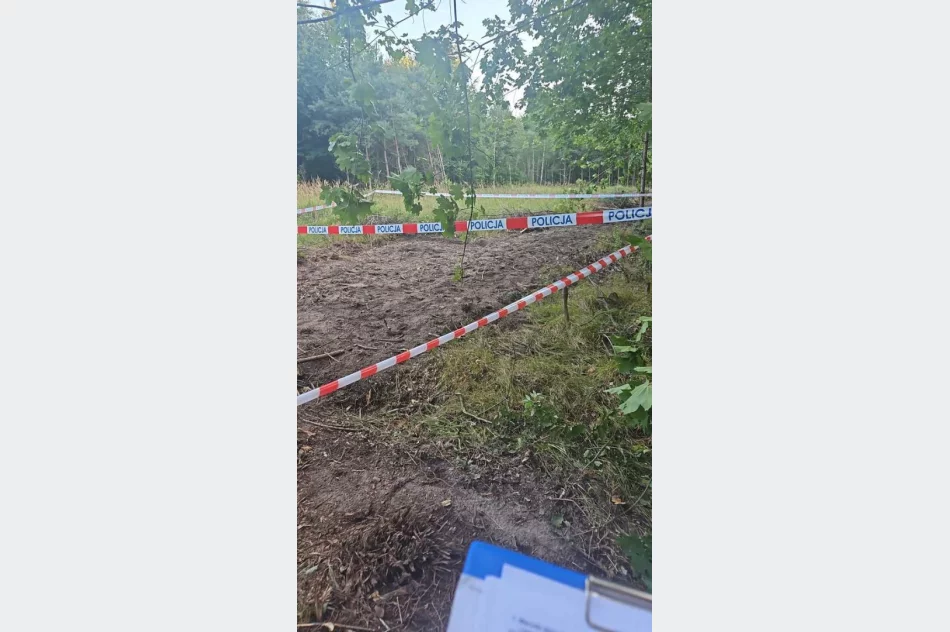 Niewybuch eksplodował pod traktorem - zdjęcie 4