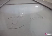 Buzodrom po zimie - zdjęcie główne