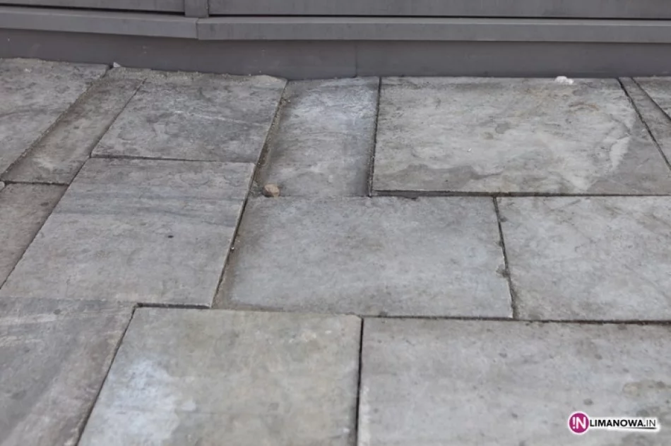 Buzodrom po zimie - zdjęcie 3