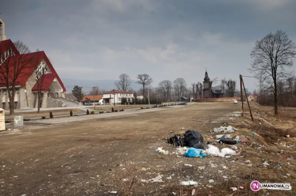 Męcina wita - zdjęcie 2