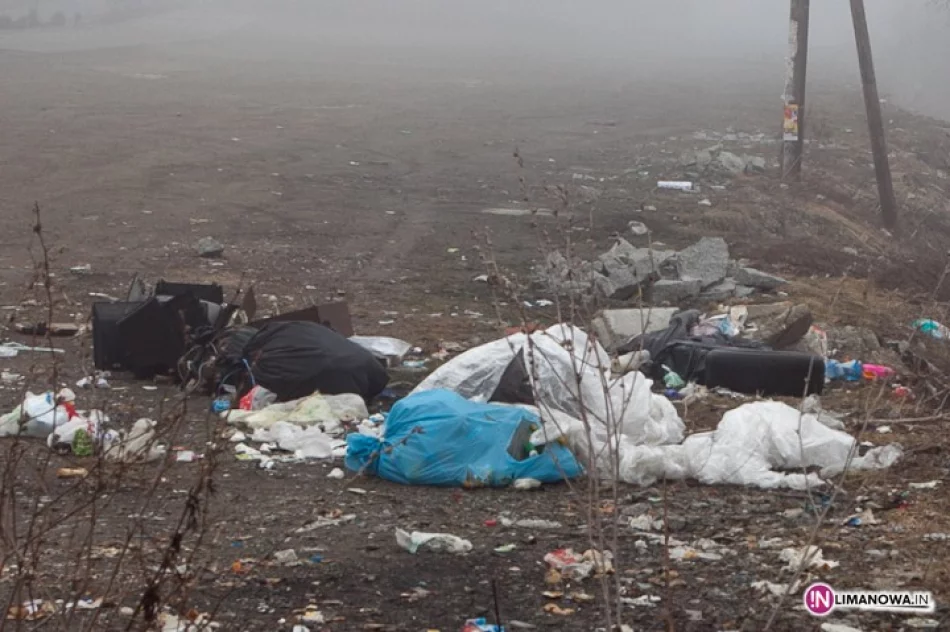 Męcina wita - zdjęcie 3