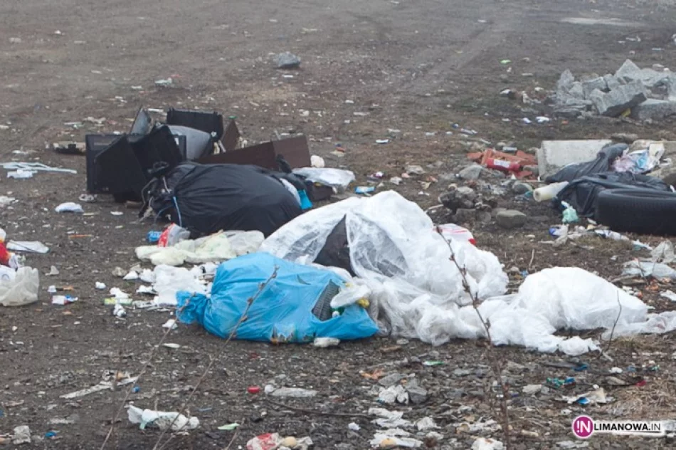 Męcina wita - zdjęcie 4