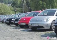 Miłość do garbusów - zdjęcie główne