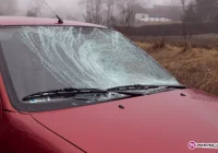 Zasnął i potrącił - zdjęcie główne