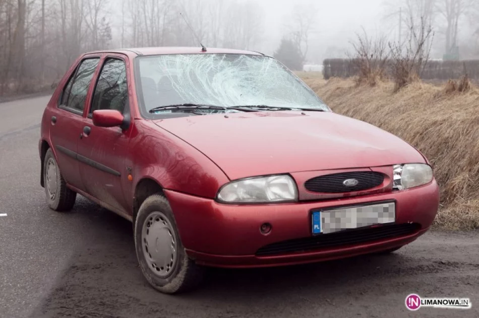 Zasnął i potrącił - zdjęcie 2