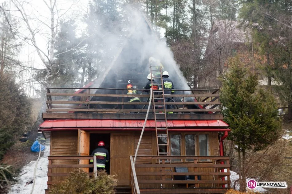 Tragiczny finał pożaru - zdjęcie 3