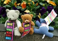 Dziś  zaczyna w całości obowiązywać tzw. ustawa Kamilka - zdjęcie główne