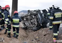 Rów i drzewo - zdjęcie główne